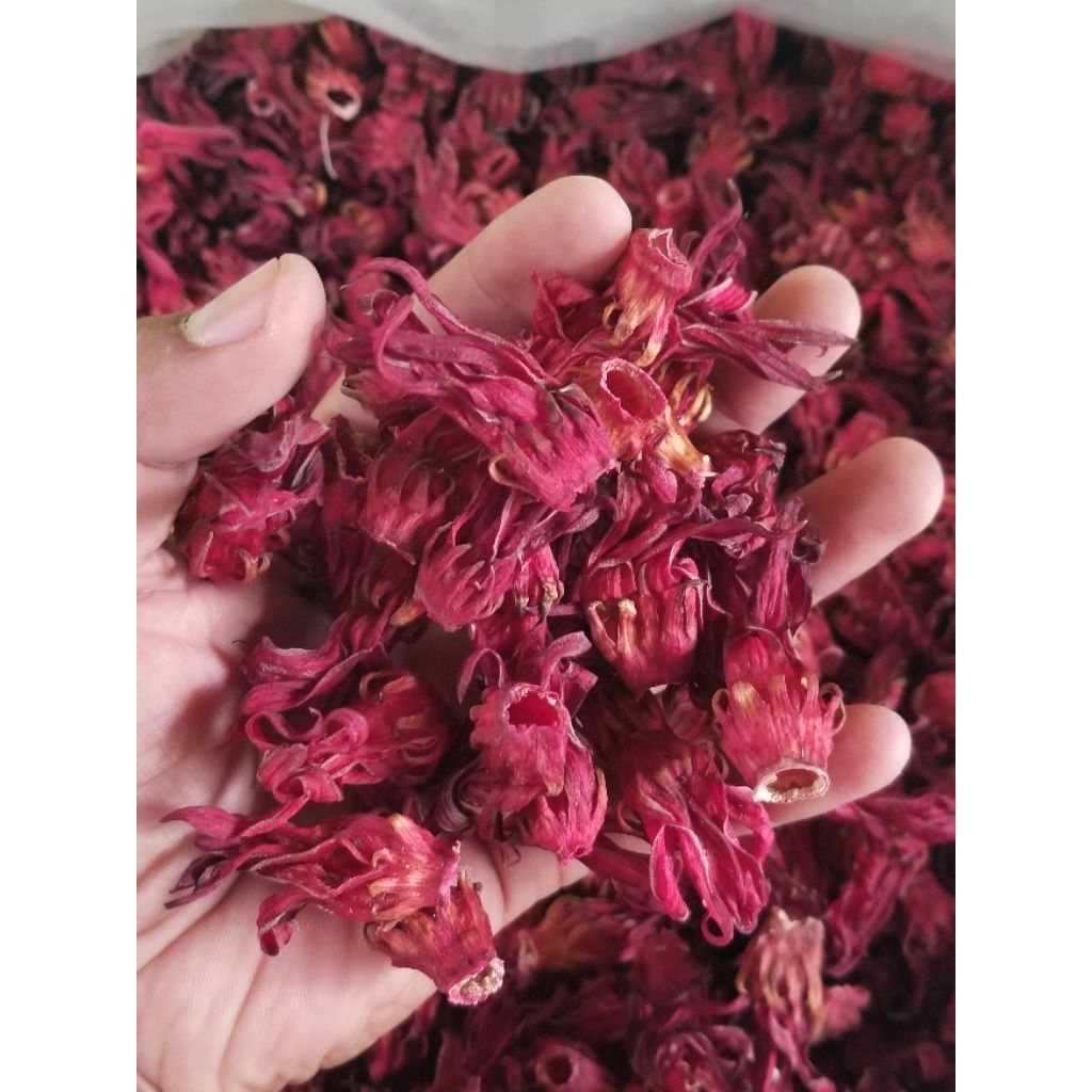 Grosir Teh Bunga Rosella Merah Kering Kualitas Premium