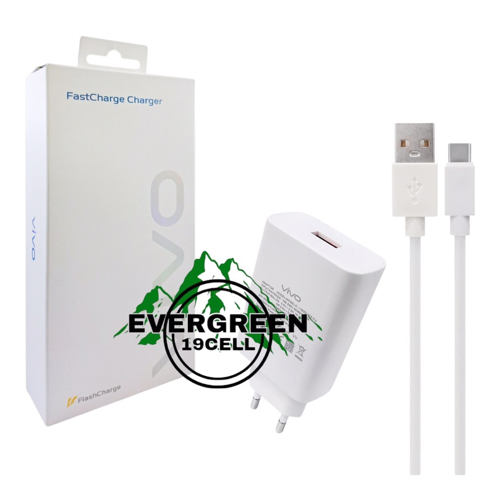 Charger Casan Hp Vivo Fash Charge Travel Charger vivo Y21t V1820lolo-eu + Kabel Type-C