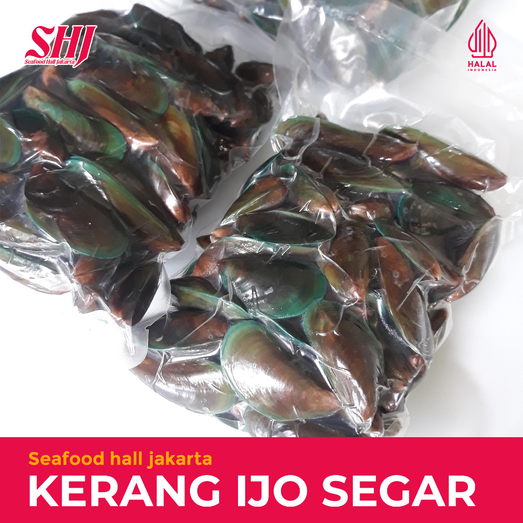 Kerang Ijo Segar 500gram/1kg / Kerang Hijau Bersih