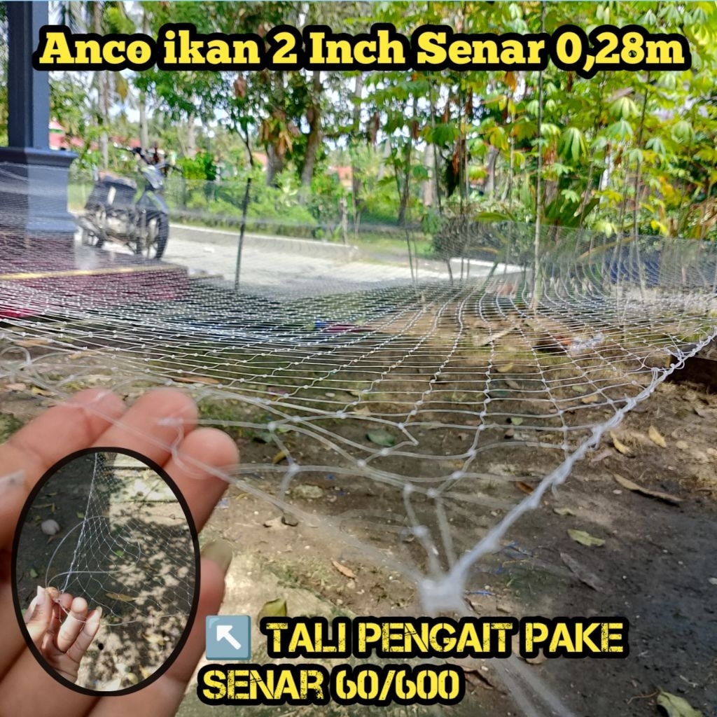 Anco 2 inch senar 0,28 ukuran 3×3 meter , tali pengait sudah pake senar tebal,hancau,tangkul, Anco i