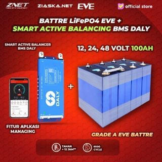 [NEW KHUSUS KARGO] Lifepo4 12V 24V 48V 100Ah dengan DALY BMS SMART Active Pasive 4S 8S 16S Bluetooth