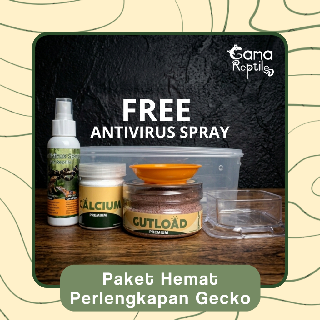 PAKET HEMAT PERLENGKAPAN LEOPARD GECKO & AFT