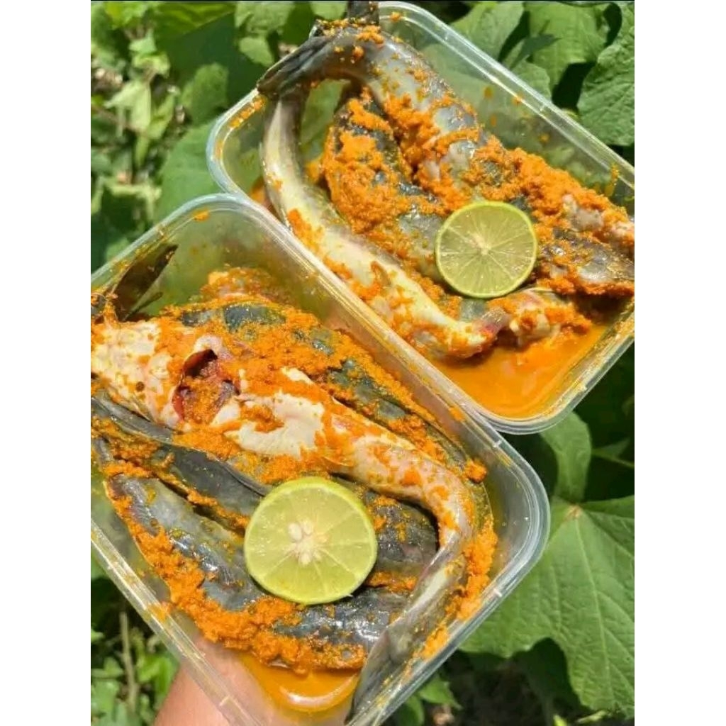 Ikan Lele Bumbu Kuning 500 gram - Siap Goreng, Praktis, Bumbu Halal