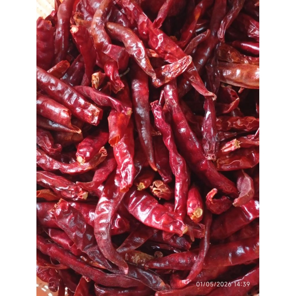 Cabe Kering Teja India 1kg