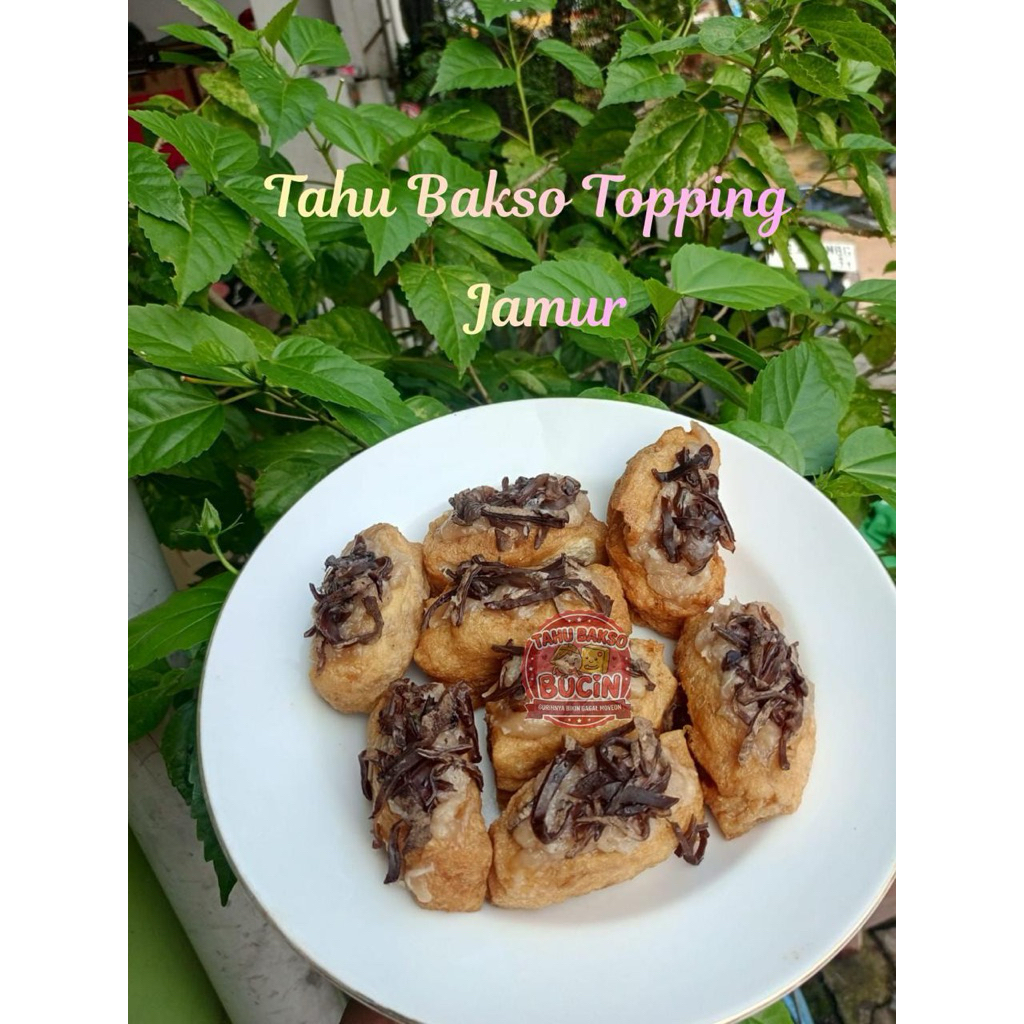 TAHU BAKSO TOPPING JAMUR ISI 6