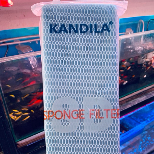 Busa Filter / Busa Filter Kandila / Sponge Filter Kandila / Kandila Busa / Busa Aquarium / Busa Filt