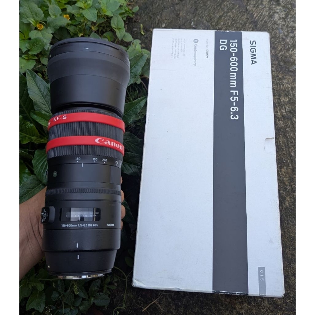 Sigma 150-600mm F5.6-63 DG ( Canon )