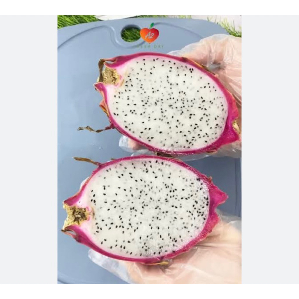 buah naga putih super fresh 100% fresh