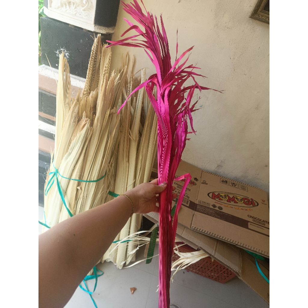 busung ibung merah jumbo, untuk jejaitan upakara, penjor, dekorasi, dll