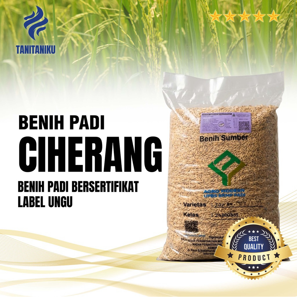 Benih padi bibit padi CIHERANG bersertifikat kualitas premium kemasan 5 kg