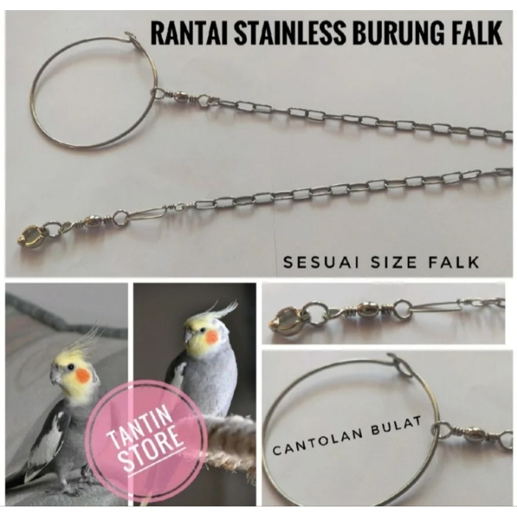 Rantai Stainless Buat Burung Small Parrot Ukuran Falk Parkit Australi