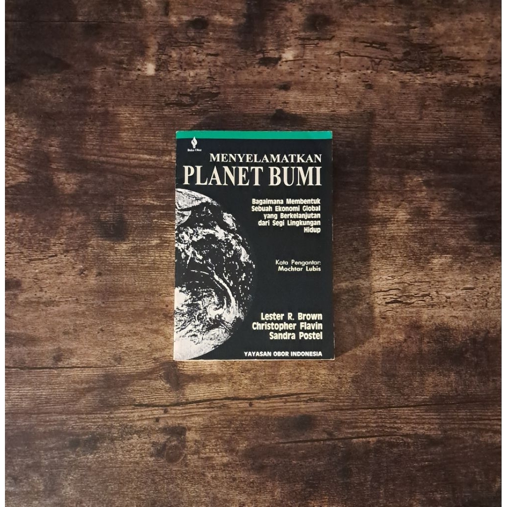 MENYELAMATKAN PLANET BUMI - LESTER R. BROWN DKK