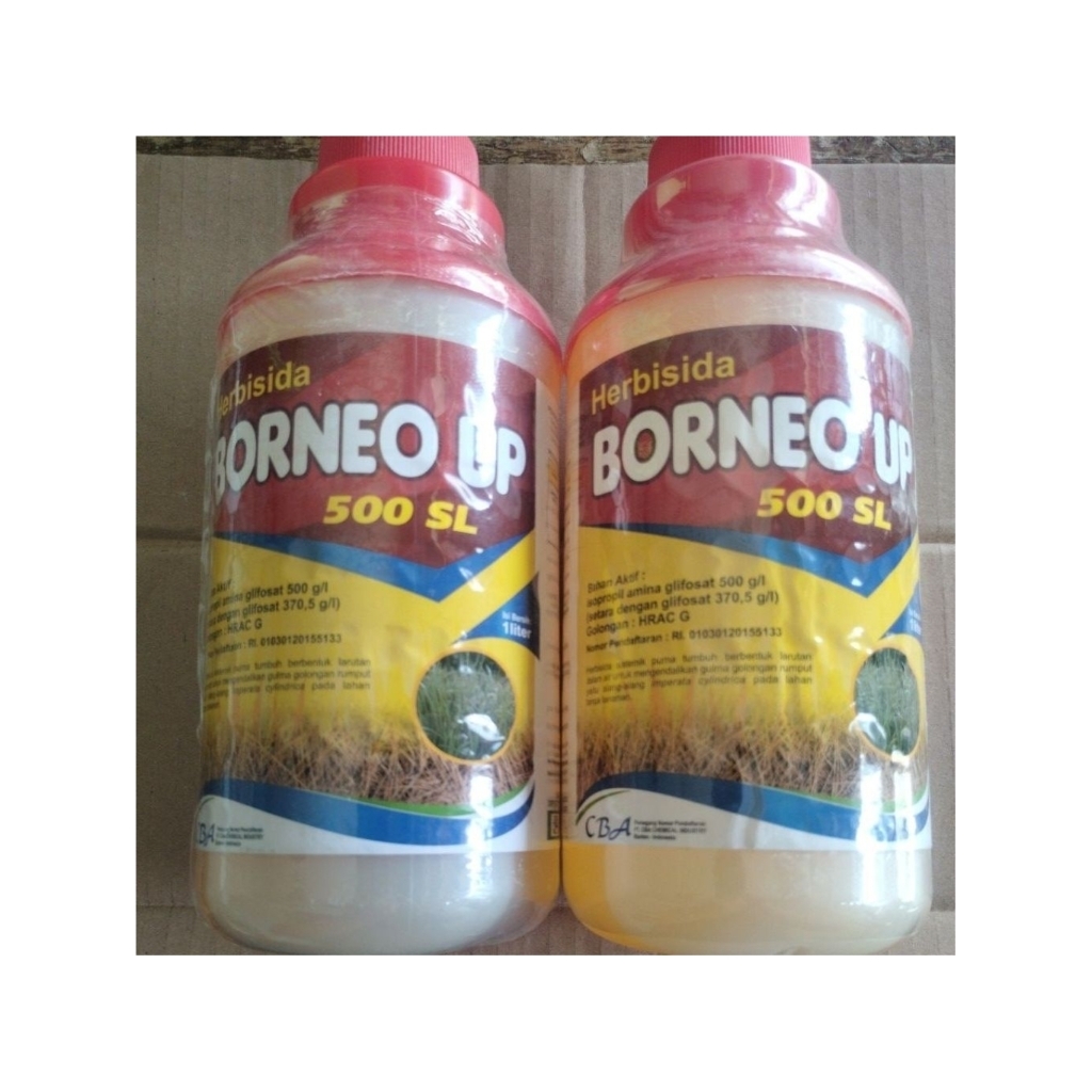 Herbisida Borneo up 500 SL