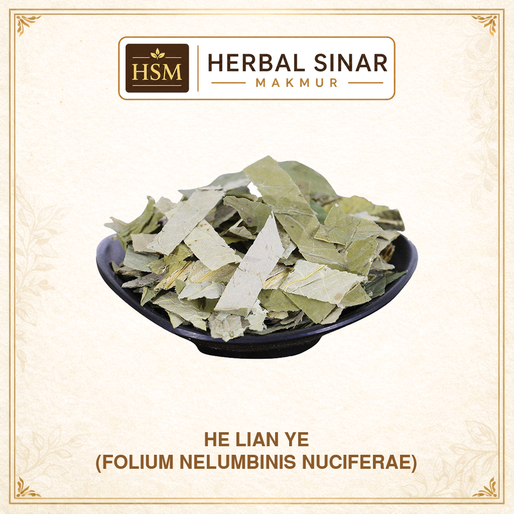 HE LIAN YE / LOTUS LEAF / DAUN TERATAI – Daun Teratai Nelumbo nucifera Herbal Cina Kering