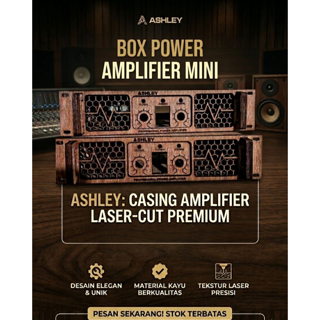 Box Power Amplifier Mini 2 Chanel