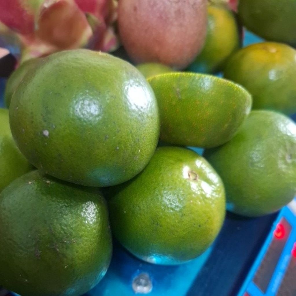 jeruk baby java/peras 2 kg