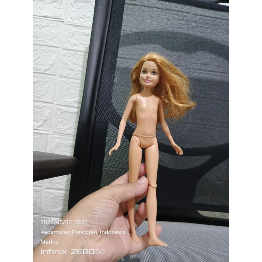 Mattel Barbie/mainan barbie