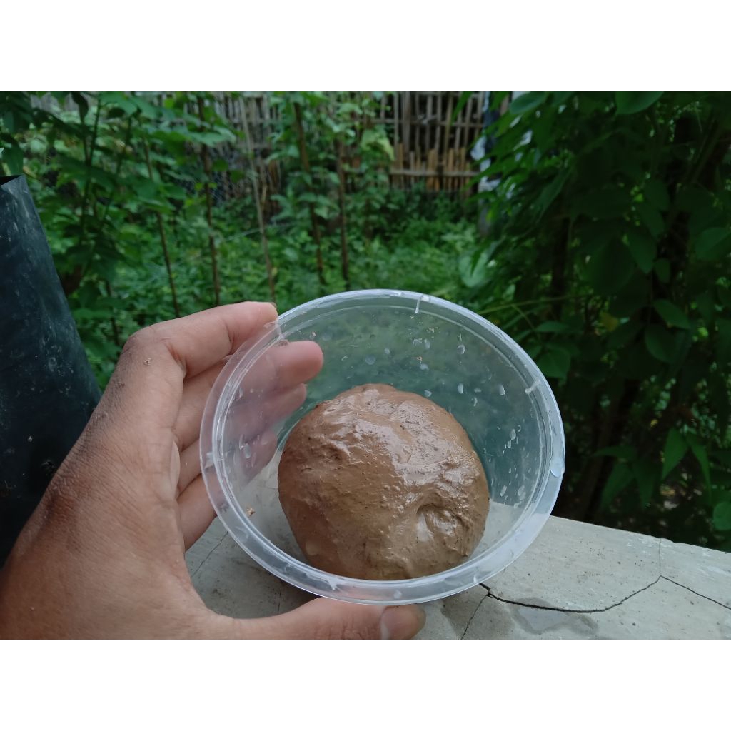 1 ons pulut burung kedundung alas super lengket anti lalat,anti mocel
