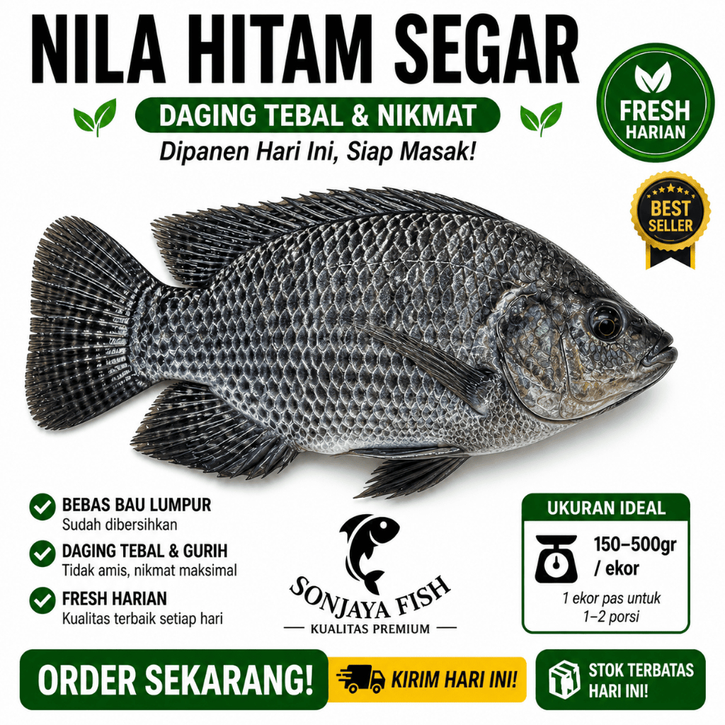Ikan Nila Hitam Segar 1kg Ikan Segar Subang (Maks Order Jam 11 Siang)