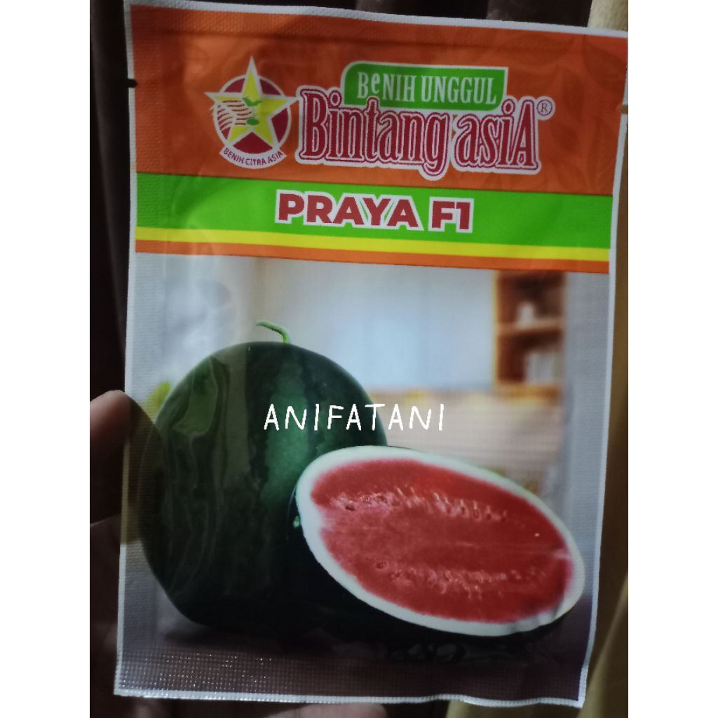 semangka PRAYA F1 bulat berbiji exp2027
