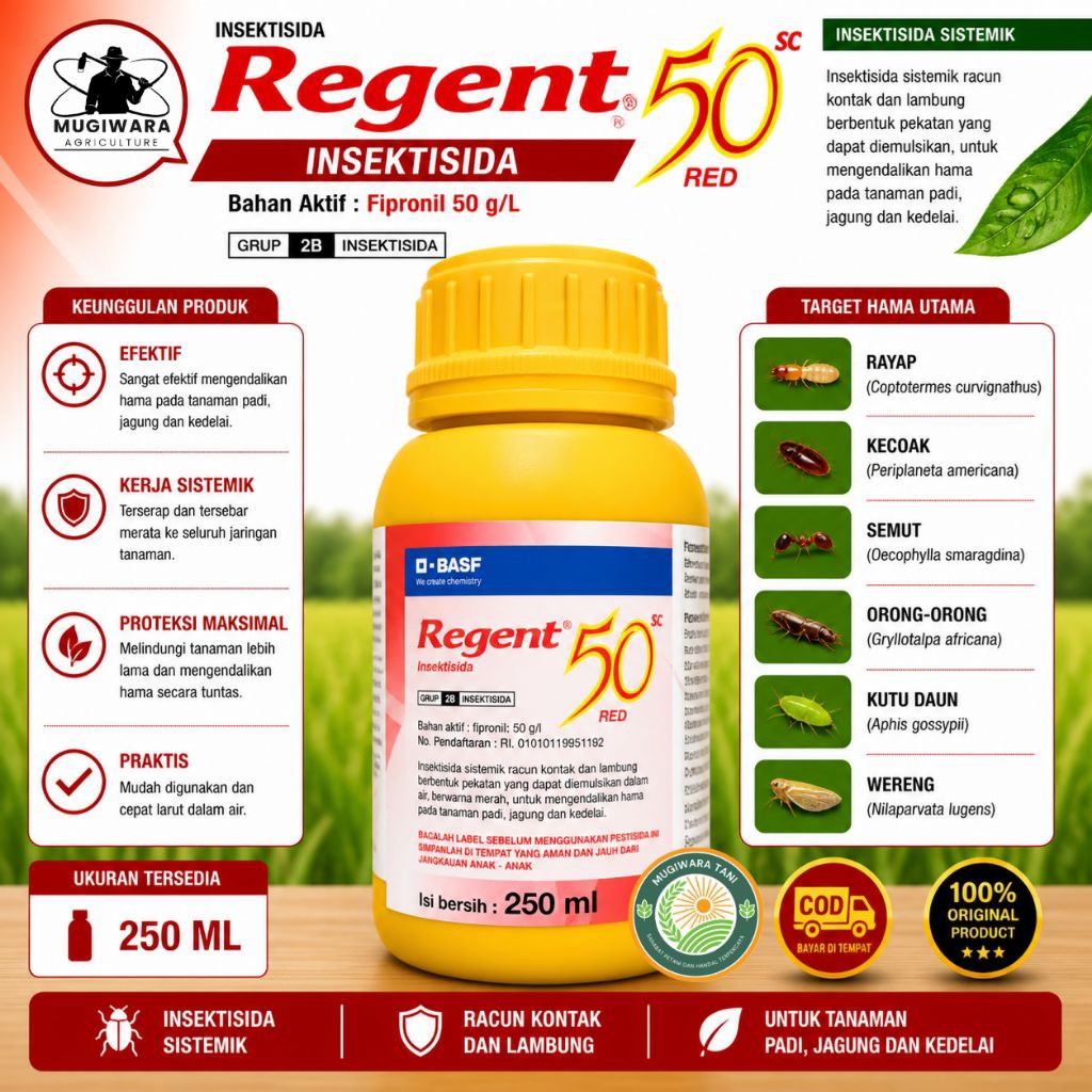 Insektisida Regent 250ml BASF Ampuh Basmi Wereng & Hama Tanah – Obat Hama Padi Sistemik Kontak