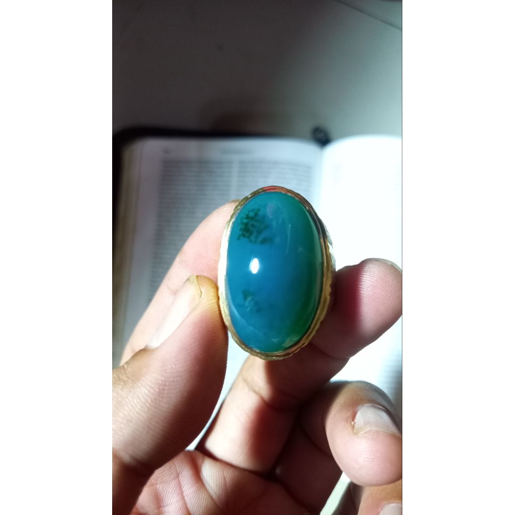 bacan doko cokelat merah jumbo hq
