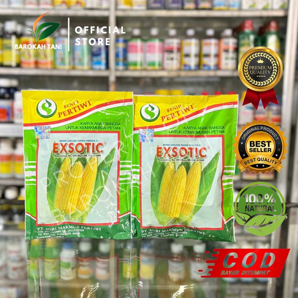 ORIGINAL benih bibit jagung manis exotic 250 gram 1750 biji