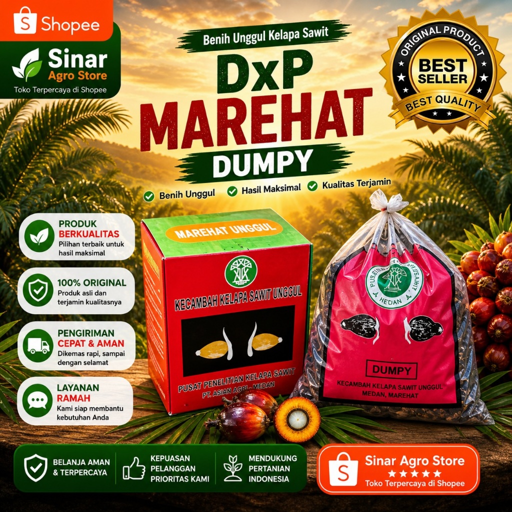 Bibit Kecambah Kelapa Sawit Marehat Dumpy | Bersertifikat