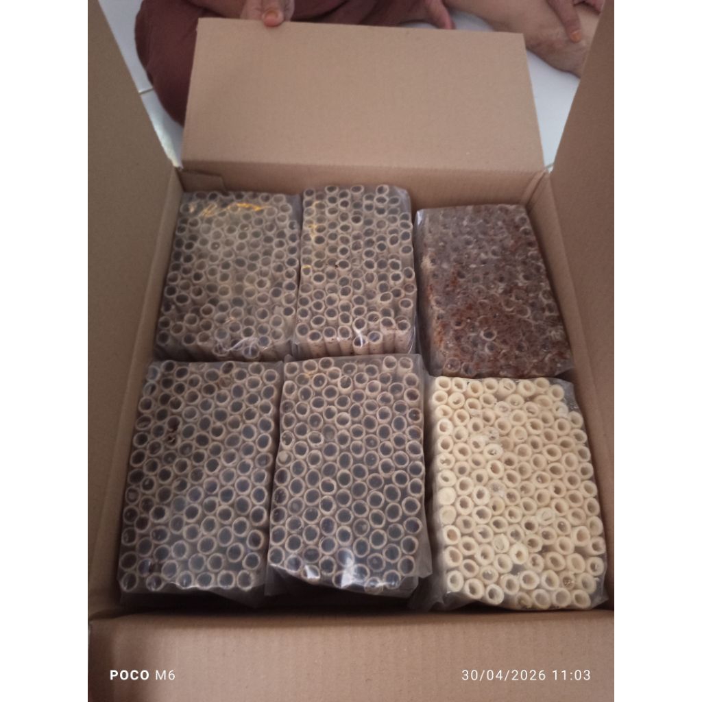 Astor Rolla / Astor Rola / Astor Full Asian / Astor Viral / Snack Lebaran / Astor Rolla Exp 2027