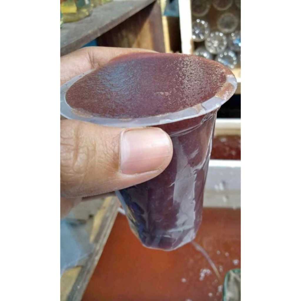 Kutu air kutir hidup moina SP makanan ikan burayak anakan ikan hias pakan ikan cupang dan guppy