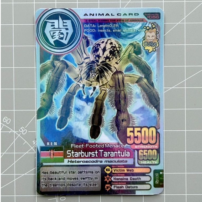 Kartu Animal Kaiser Plus + Silver Animal Card Starburst Tarantula Copy