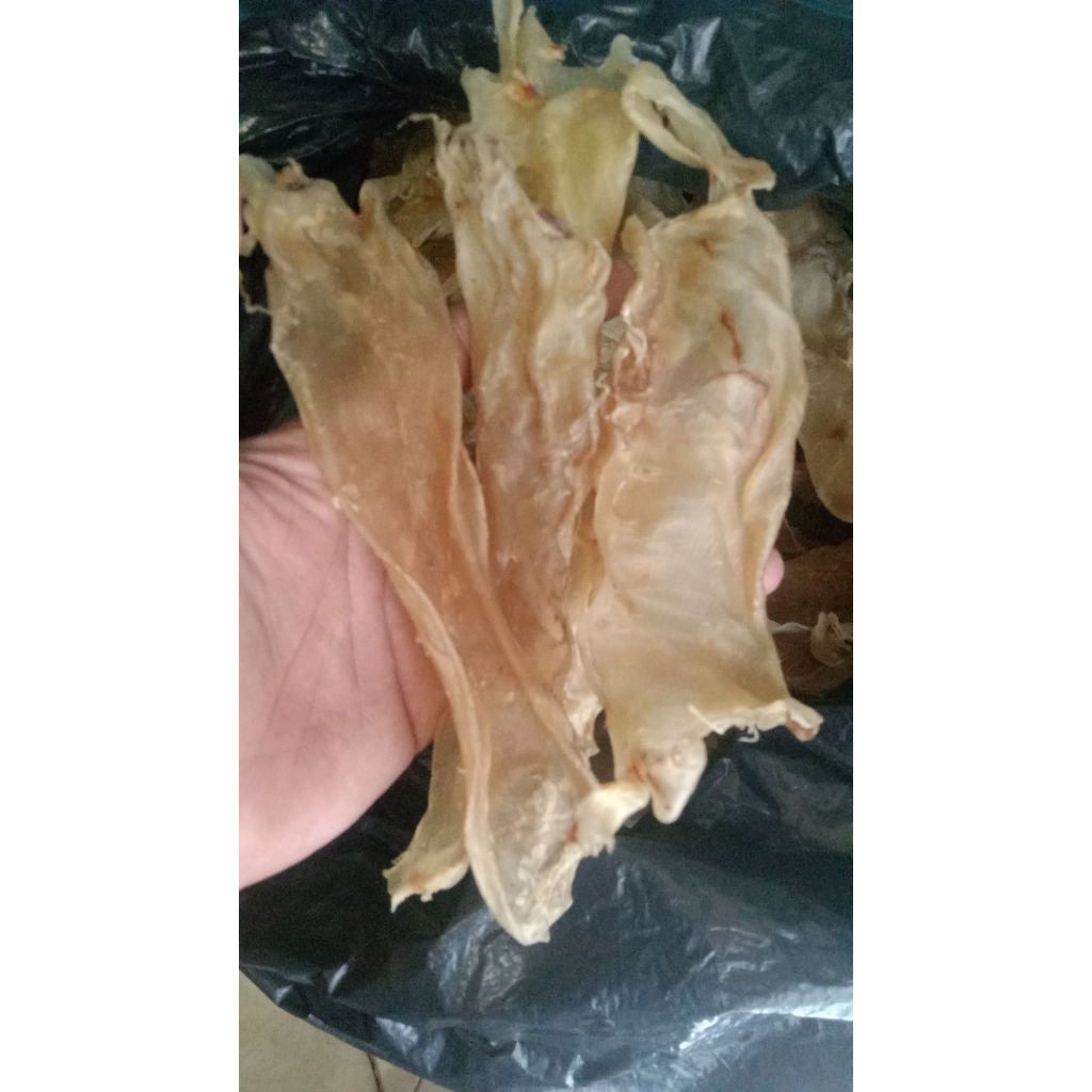 gelembung ikan/perut ikan kakap putih 500.000/250g