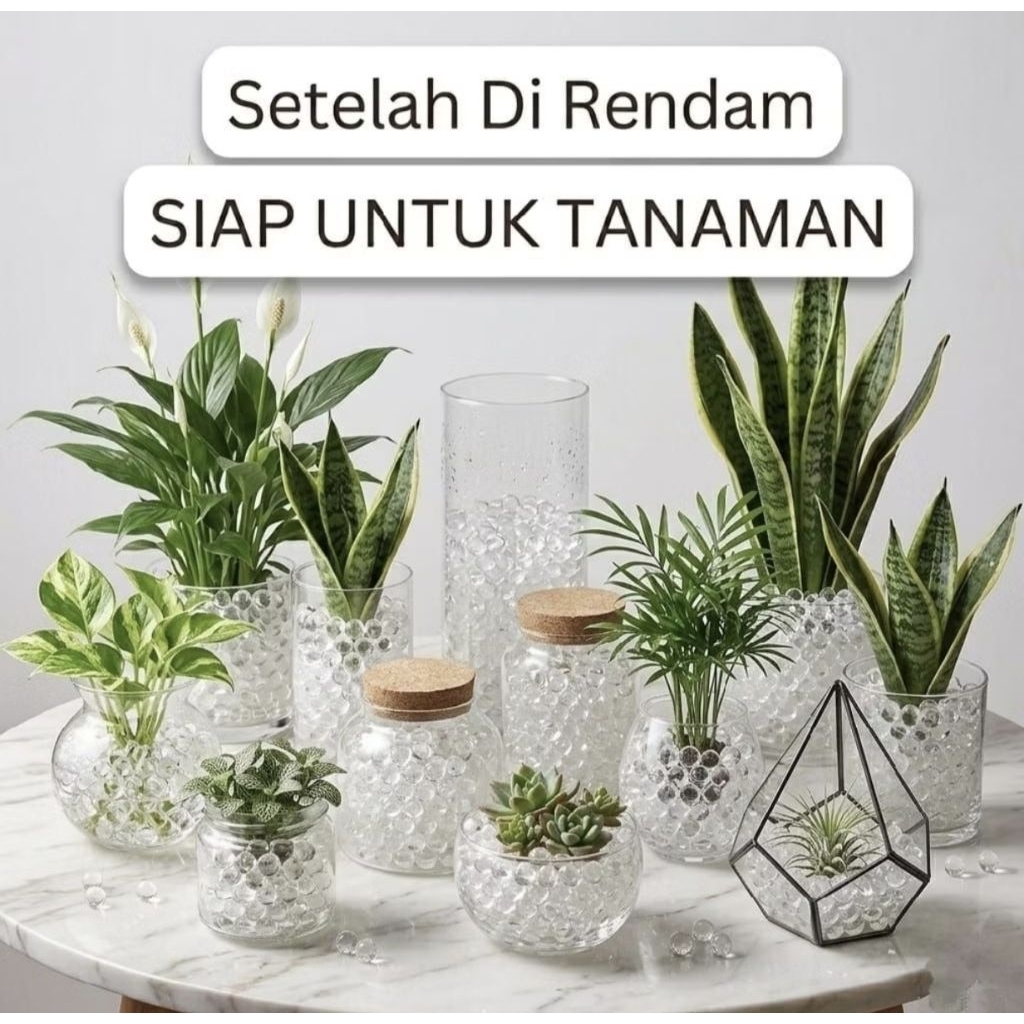 Media Tanam Hidrogel