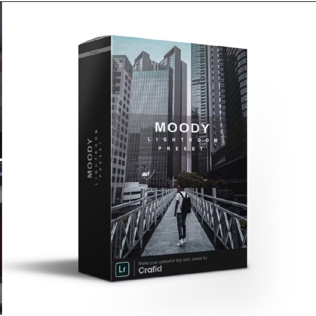 15 preset lightroom moody selebgram premium