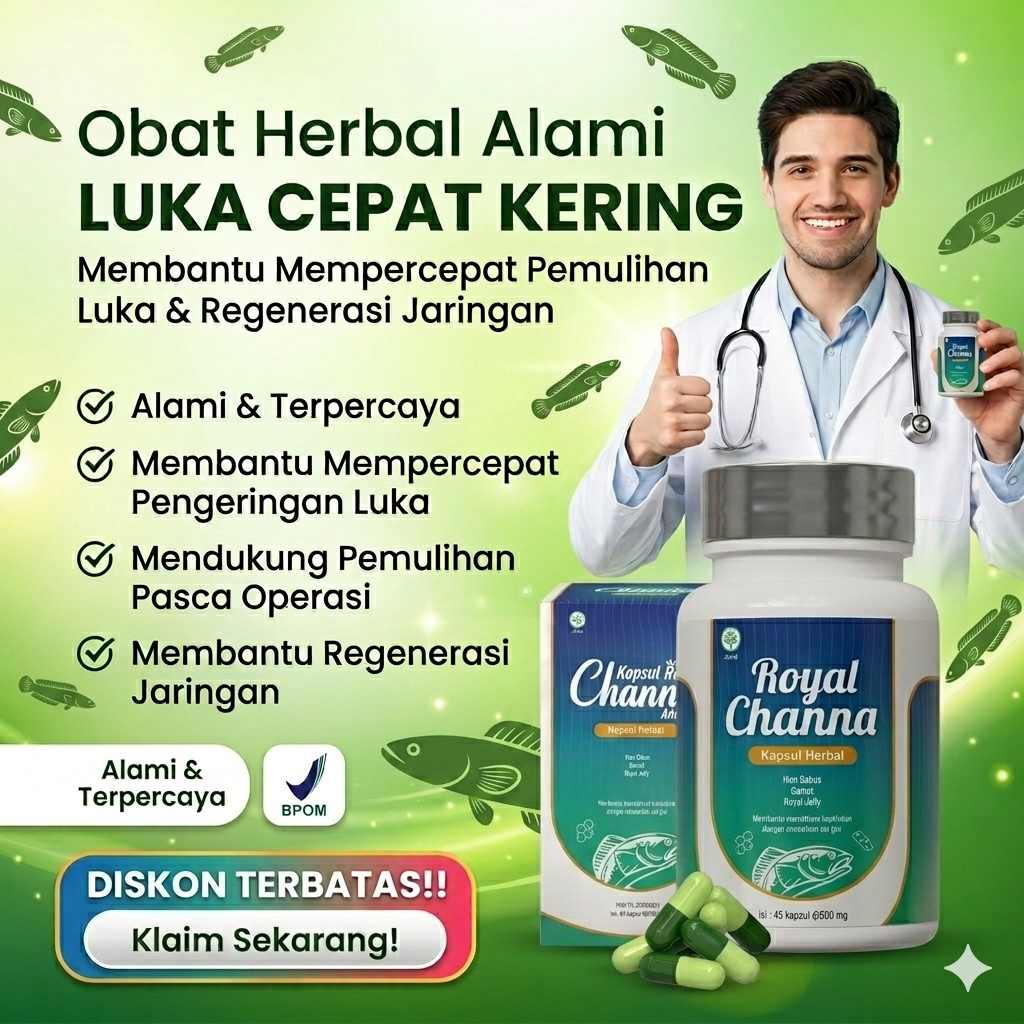 Kapsul Royal Channa Asli BPOM – Obat Pengering Luka Operasi Caesar, Luka Jahitan, Luka Dalam & Luar