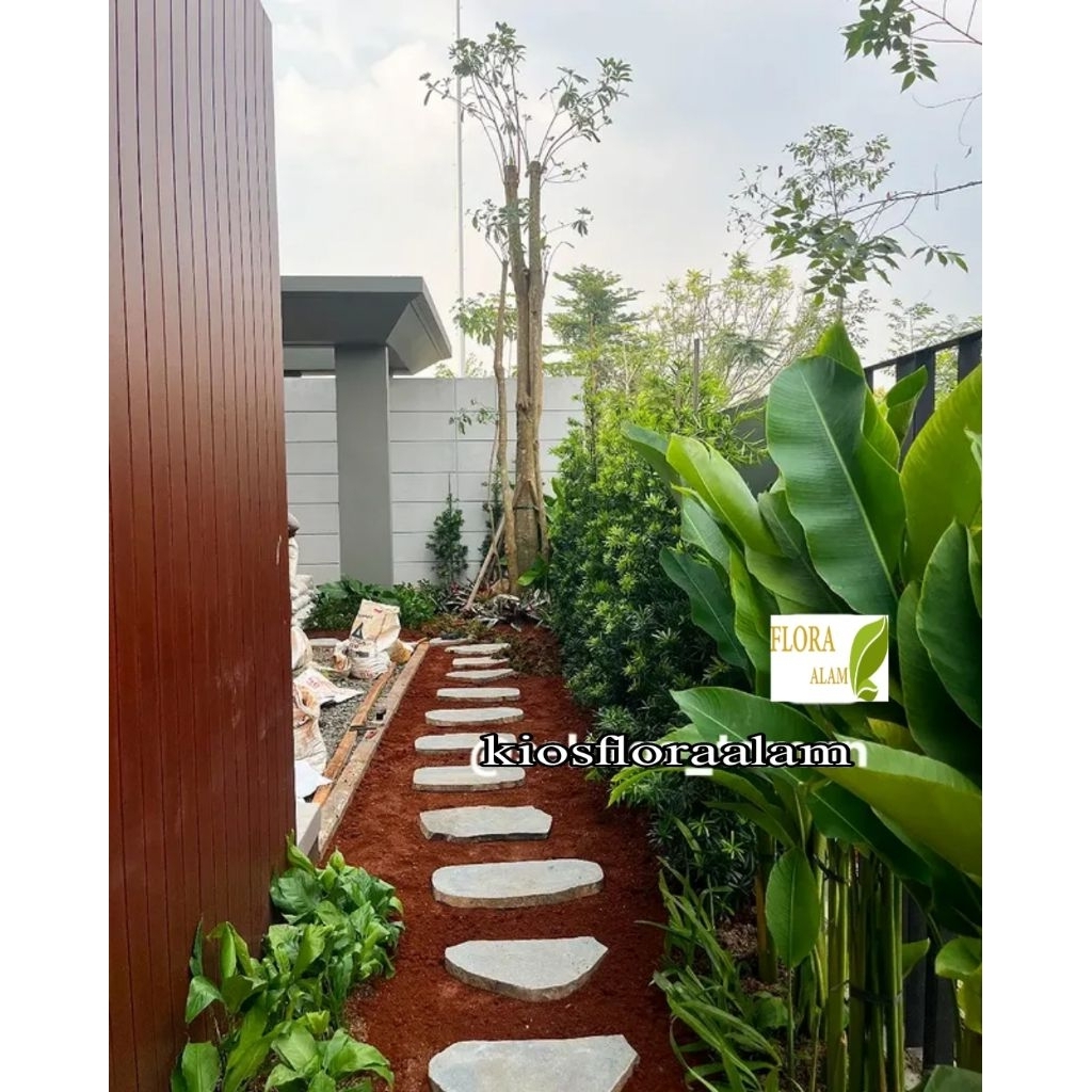Taman tropis pembuatan dekorasi taman / taman minimalis / taman vertikal garden / taman tropis / tam