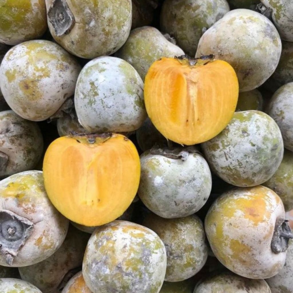 kesemek lokal buah langka - buah genit 1kg