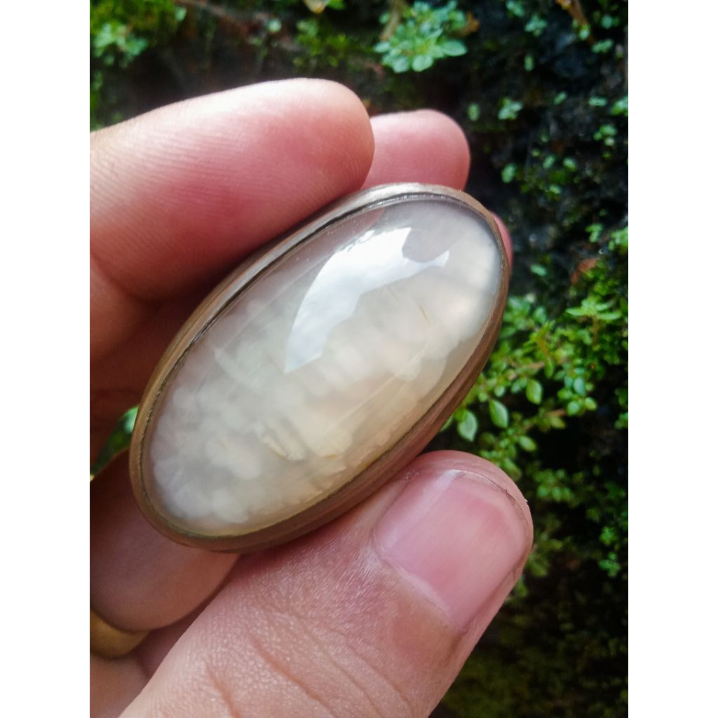 batu akik pandan  semu oli sisik betok.