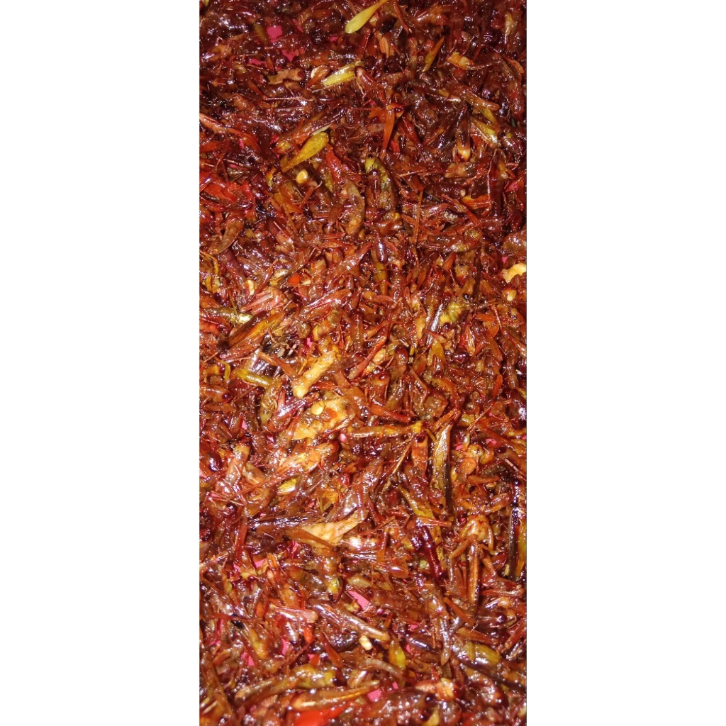 Belalang goreng krispi pedas manis paling enak
