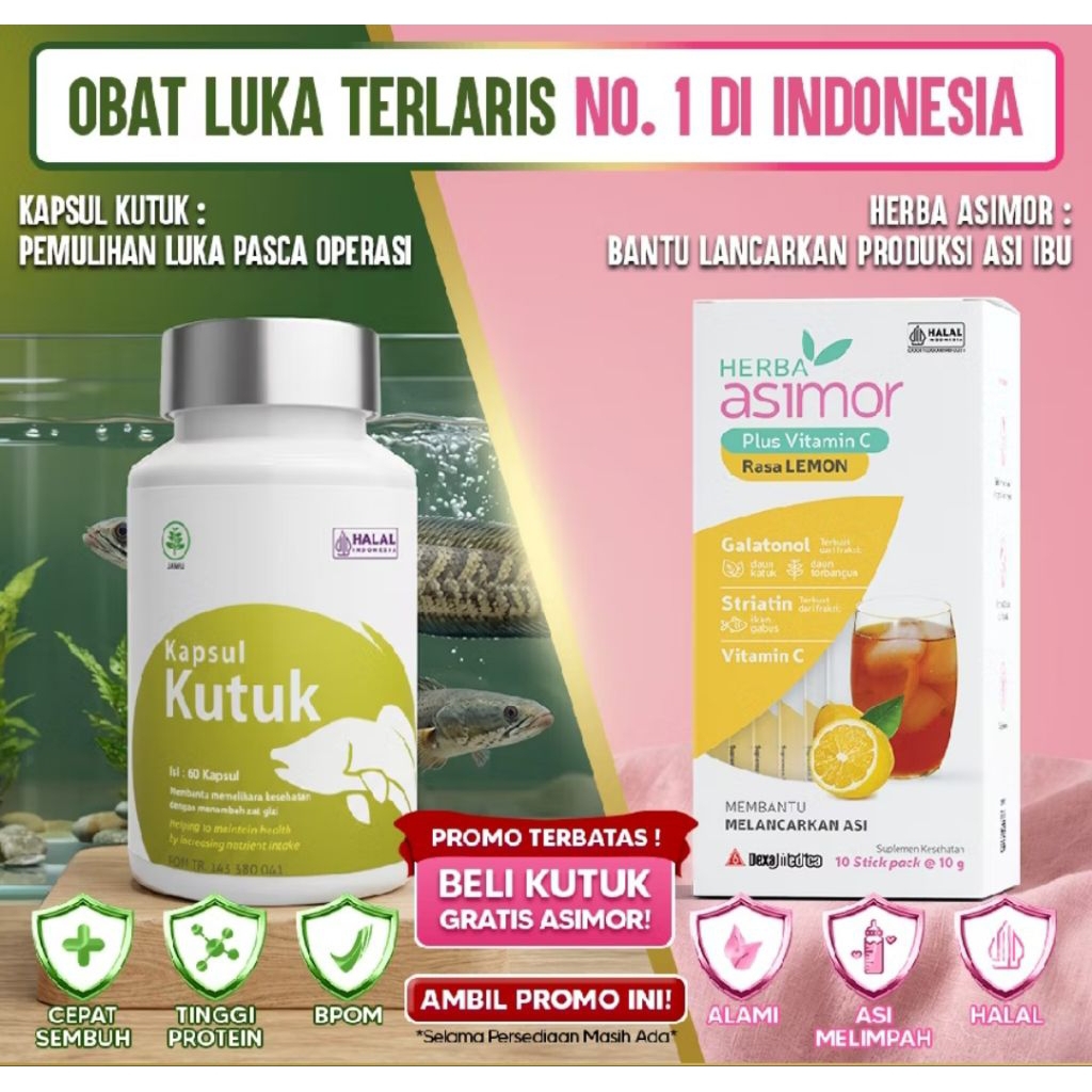 Kapsul Kutuk Premium Albumin Terlaris - Pengering Penyembuhan Luka Diabetes / Pasca Operasi / Melahi