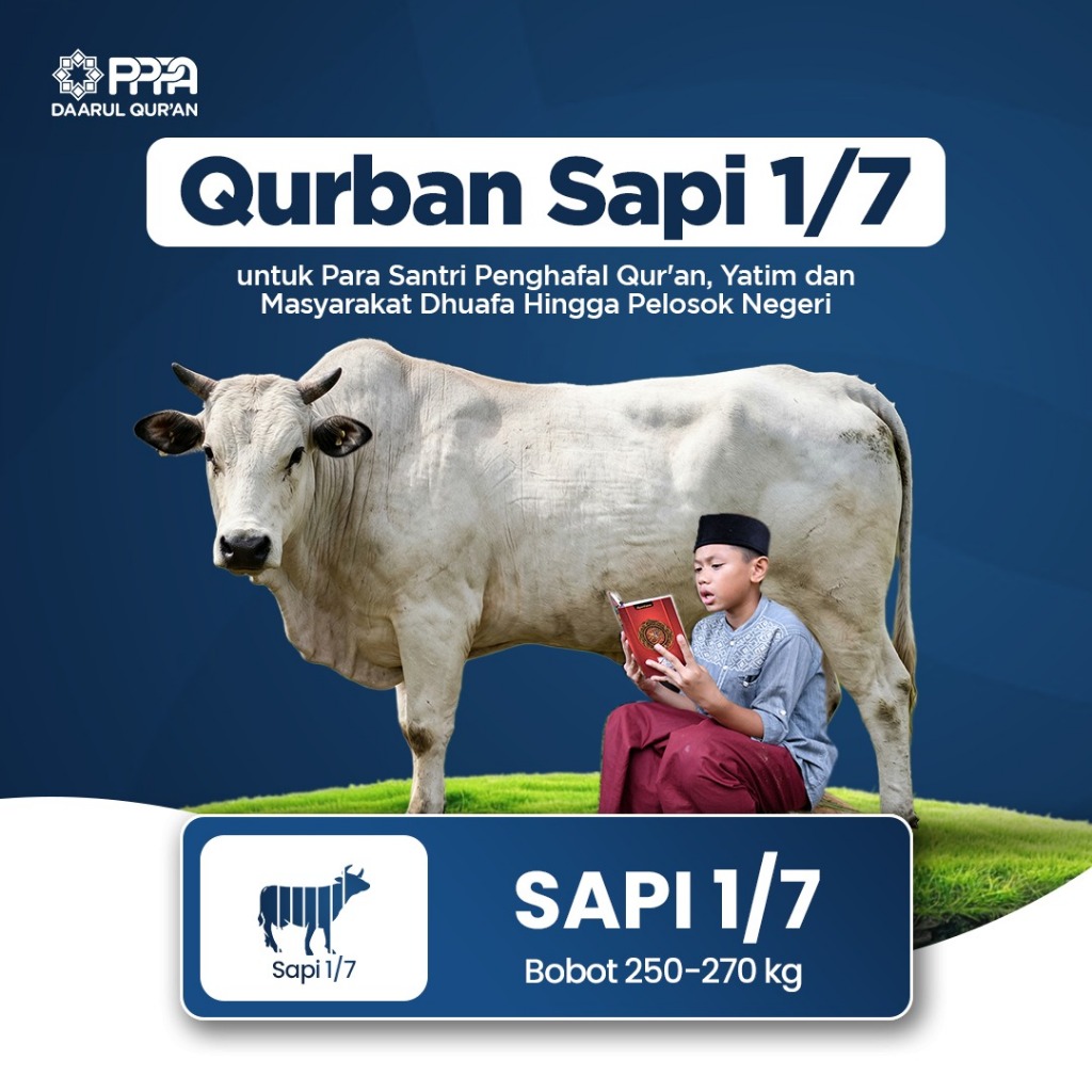 Qurban Sapi 1/7