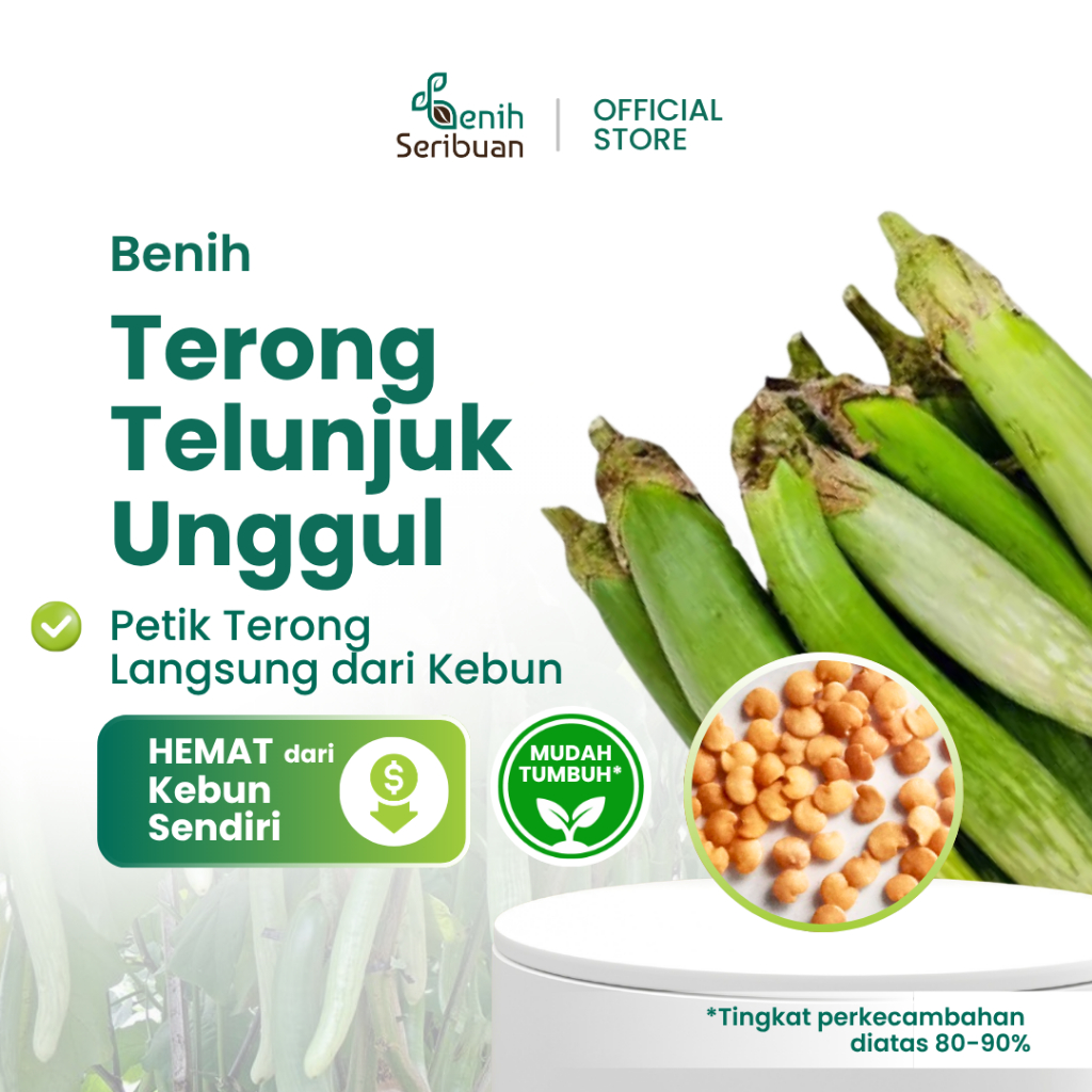 40 Bibit Terong Telunjuk Lurik Benih Sayuran Tunjuk Medan Unggul - Bibit Tanaman Sayur Seribuan