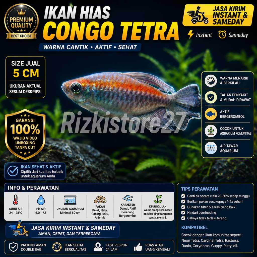 Ikan Hias Congo Tetra Size 5 Cm Aquarium Aquascape Air Tawar