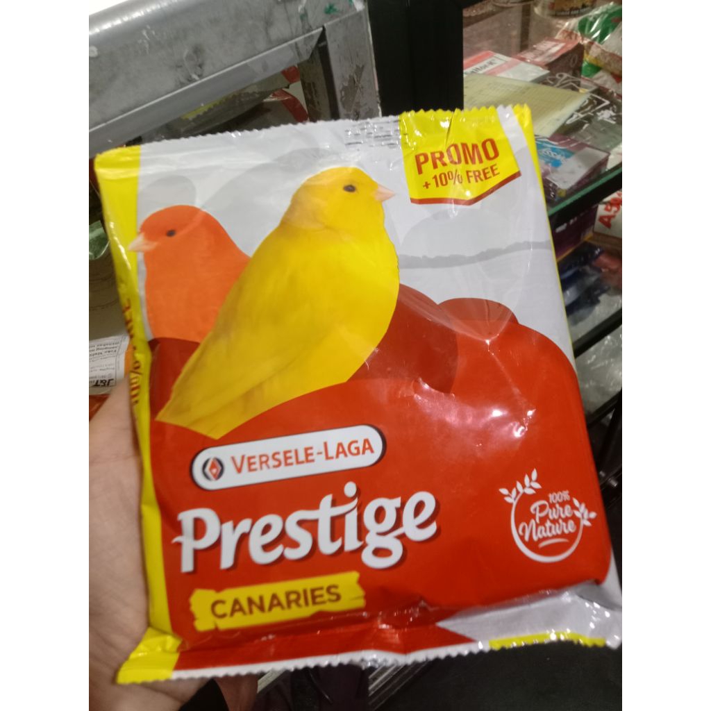 prestige canary