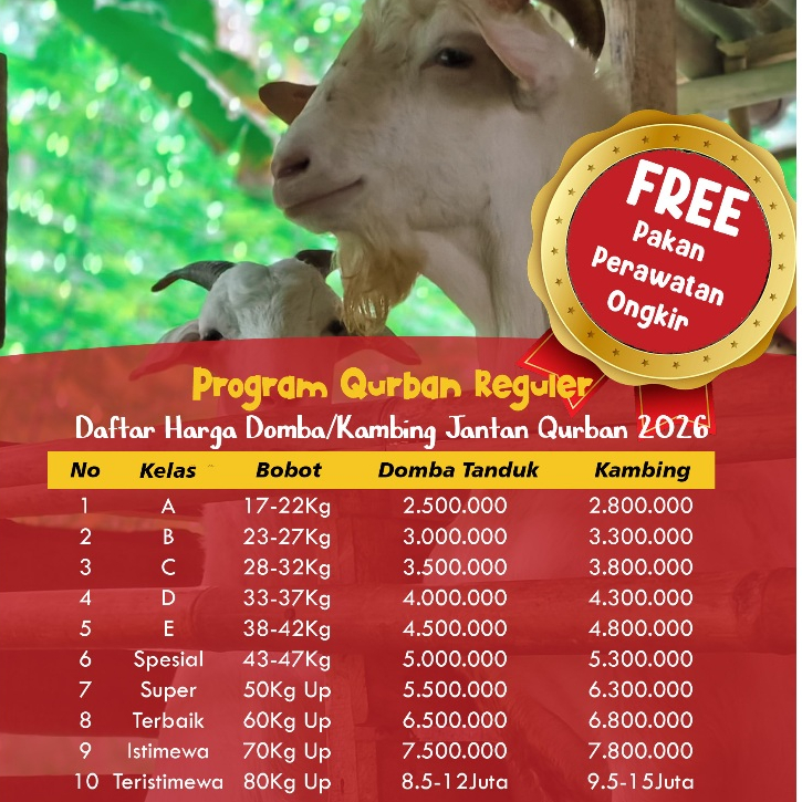 Qurban Domba Kambing Jantan Dikirim Hidup Jabodetabek Semua Bisa Qurban Basmala Farm Tebar Kurban