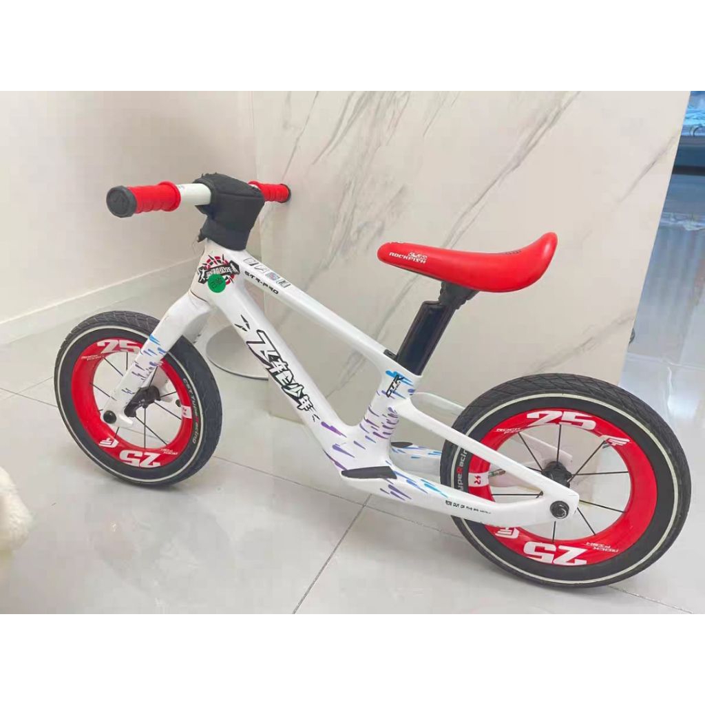 Bike8 / Rockfish Frame Carbon