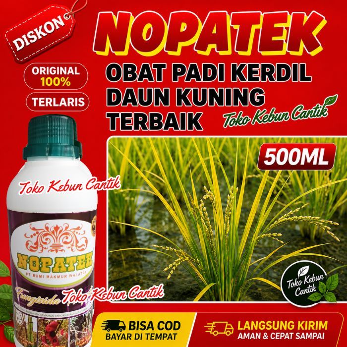 NOPATEK Nutrisi Padi Daun Kuning | Obat Padi Kerdil Bulai Untuk Semua Tanaman