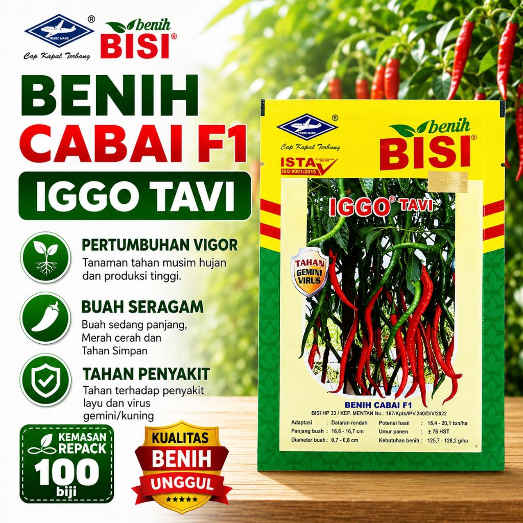 Benih Cabai F1 IGGO TAVI