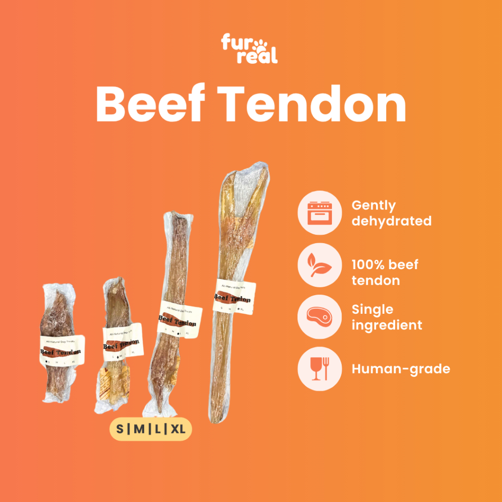 FURREAL Beef Tendon Dehydrated 7-20 cm - Air Dried Urat Sapi Dog Treat Chew Snack Cemilan & GigitanA