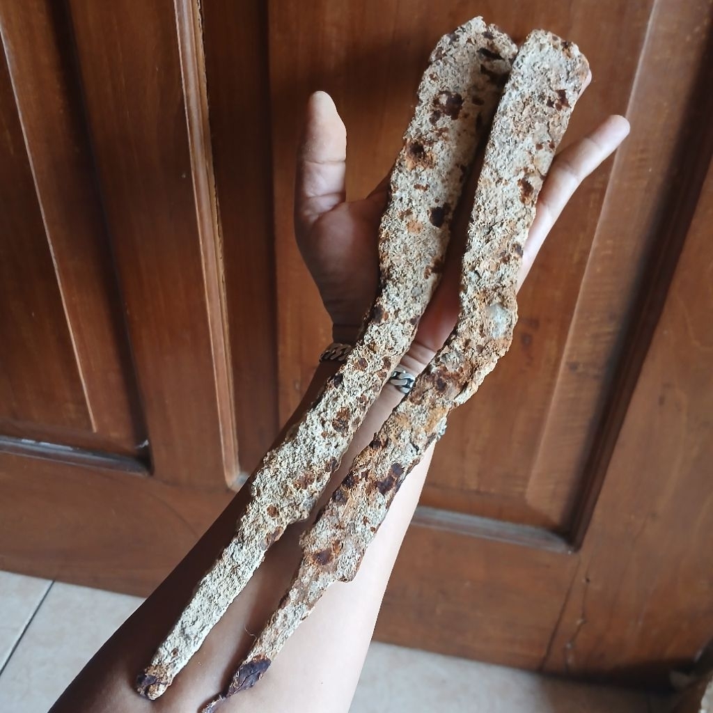 Koleksi Temuan Galian Tanah Sepasang Pusaka Jenis Kudi KUNO era KaBudhan